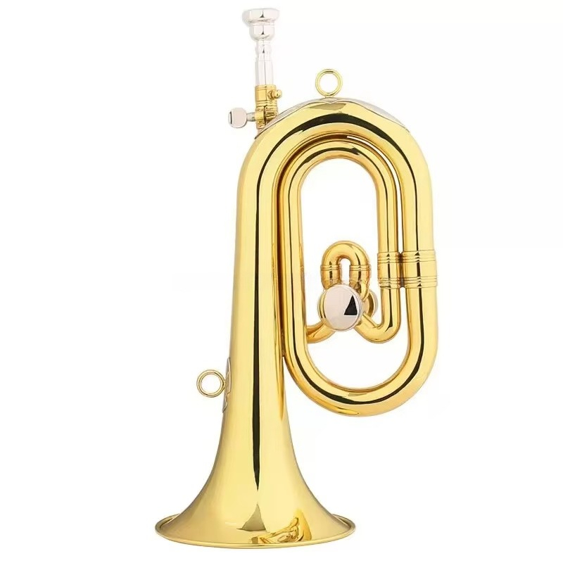 Instrumento musical profesiona - Musical Instrument Bugle reseña y precio