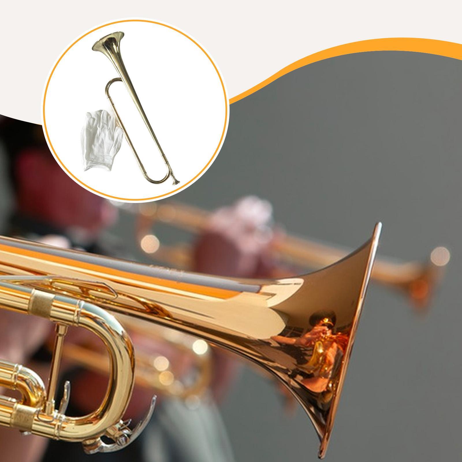 Trompeta de tambor de corneta, - Musical Instrument Bugle reseña y precio
