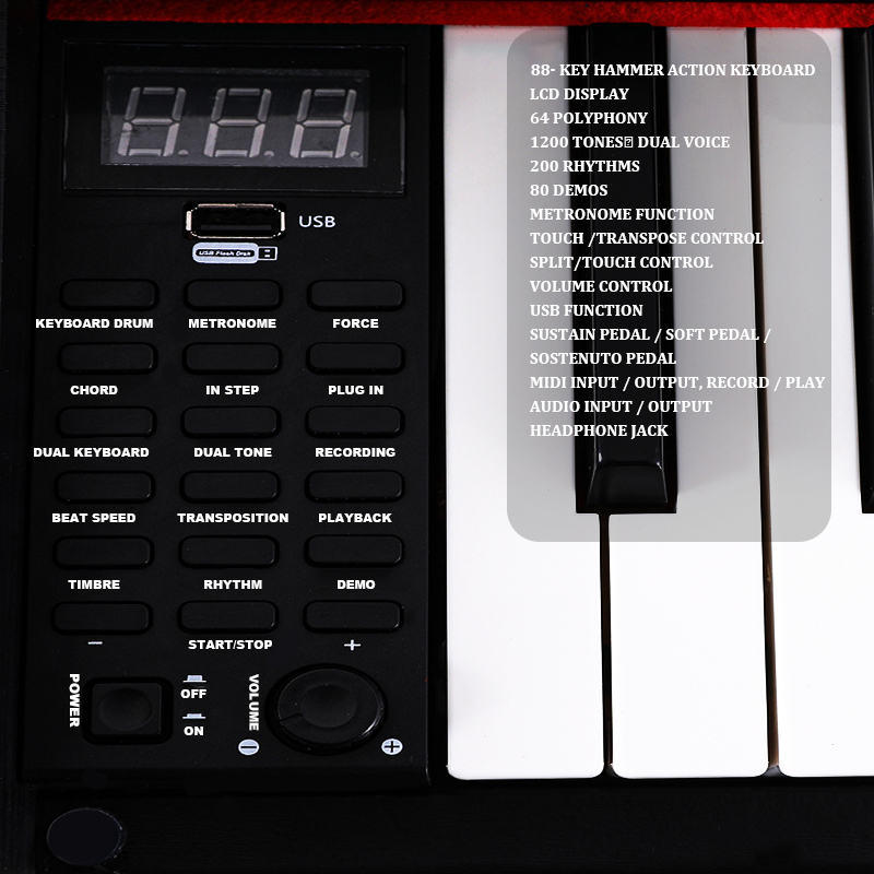 Precio Teclado Piano Instrumen - Musical Instrument Keyboard Price reseña y precio