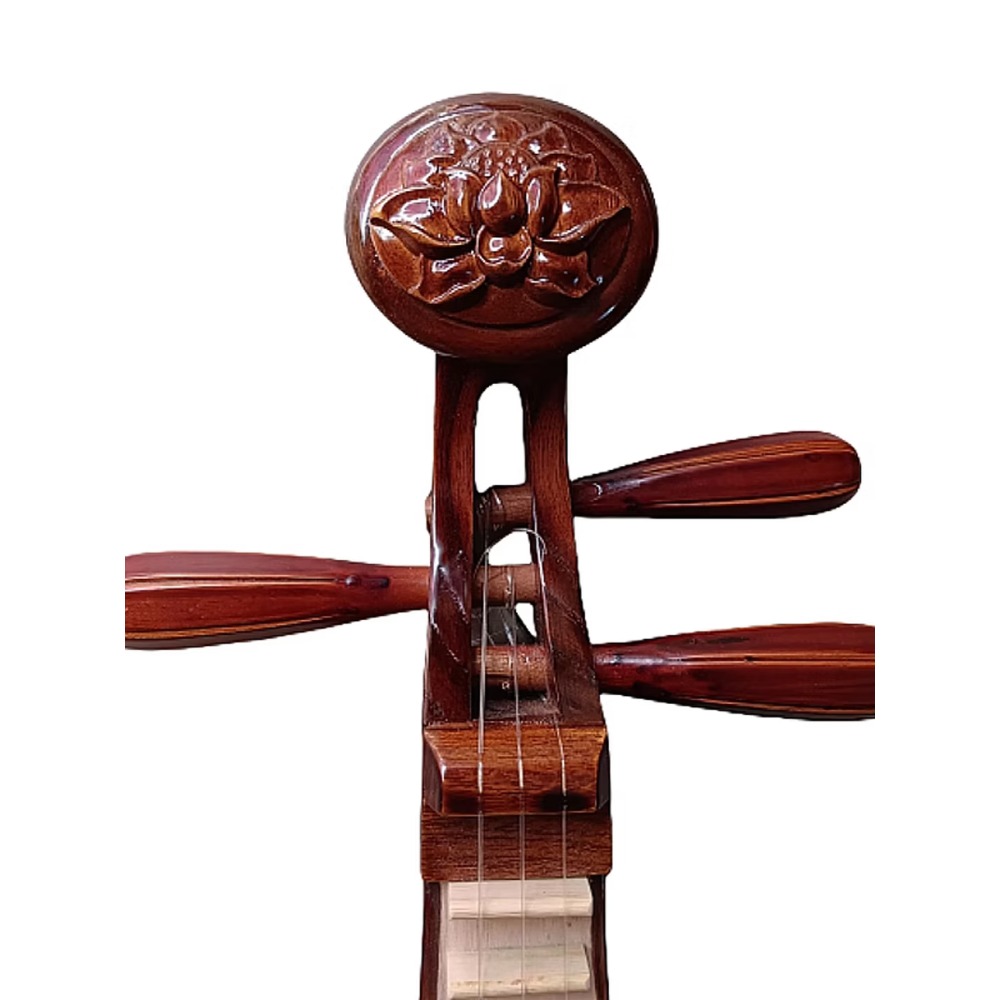 Liuqin (Tu Pipa) de 3 cuerdas  - Musical Instrument Music reseña y precio