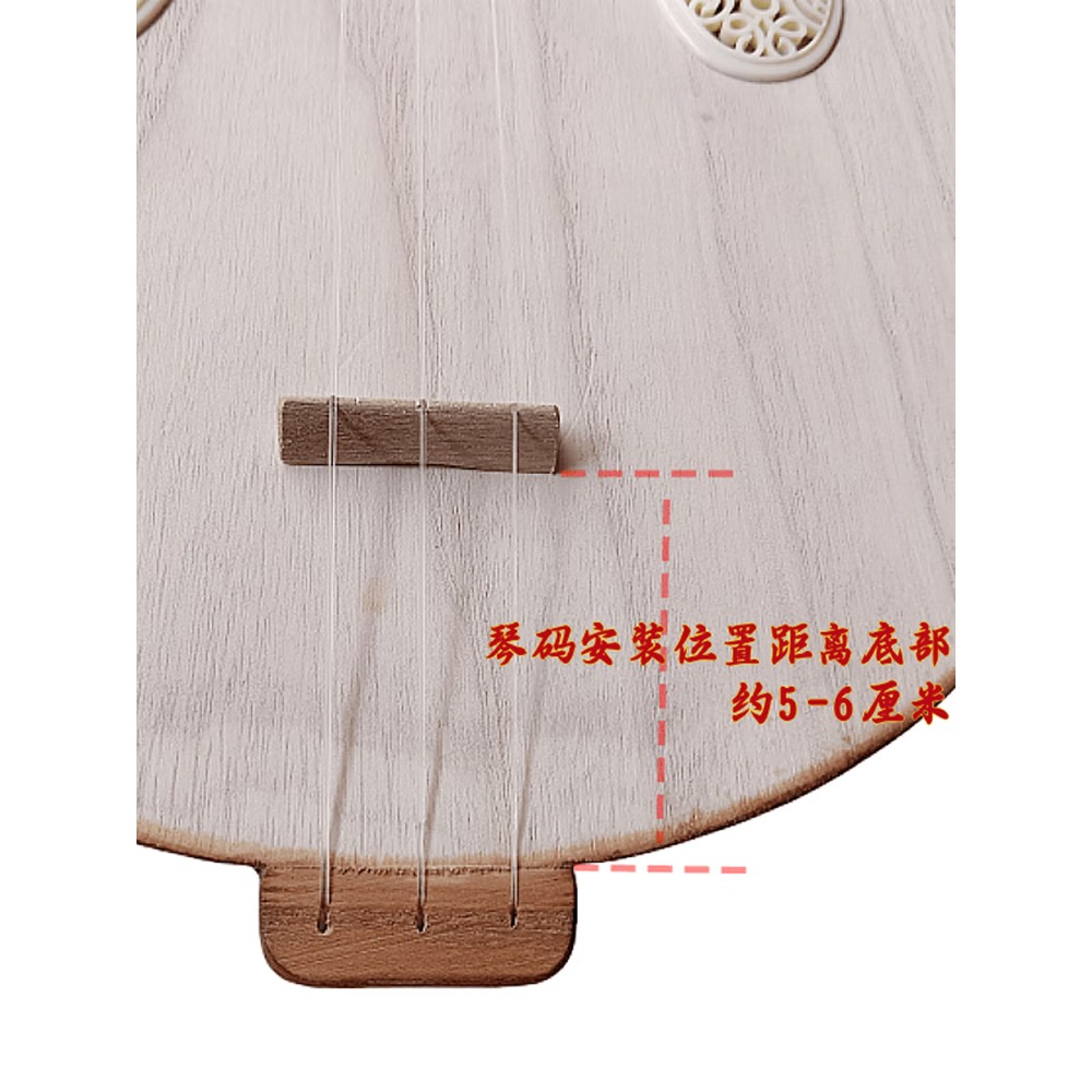 Liuqin (Tu Pipa) de 3 cuerdas  - Musical Instrument Music reseña y precio
