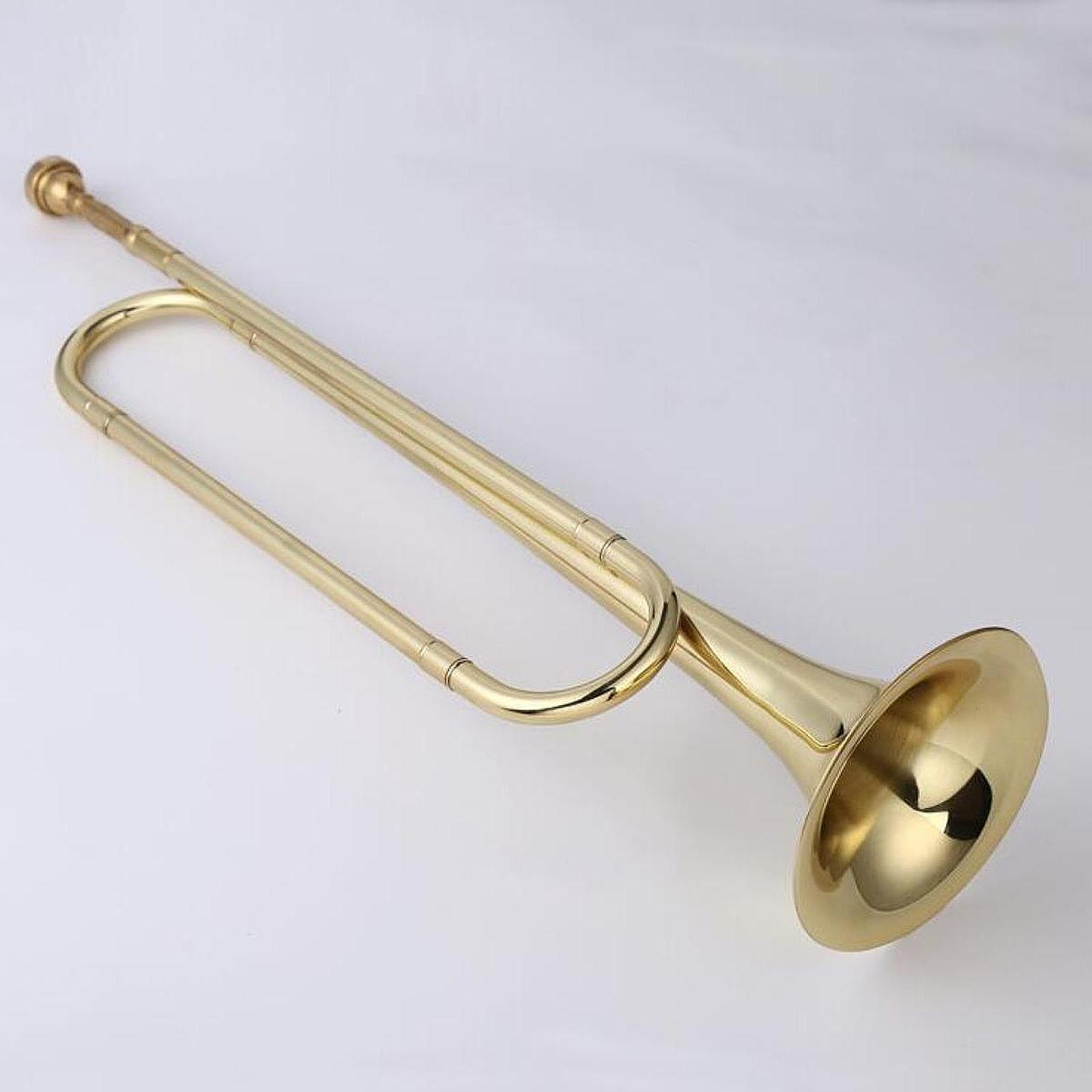 Corneta en Si Bemol, Corneta C - Musical Instrument Bugle reseña y precio