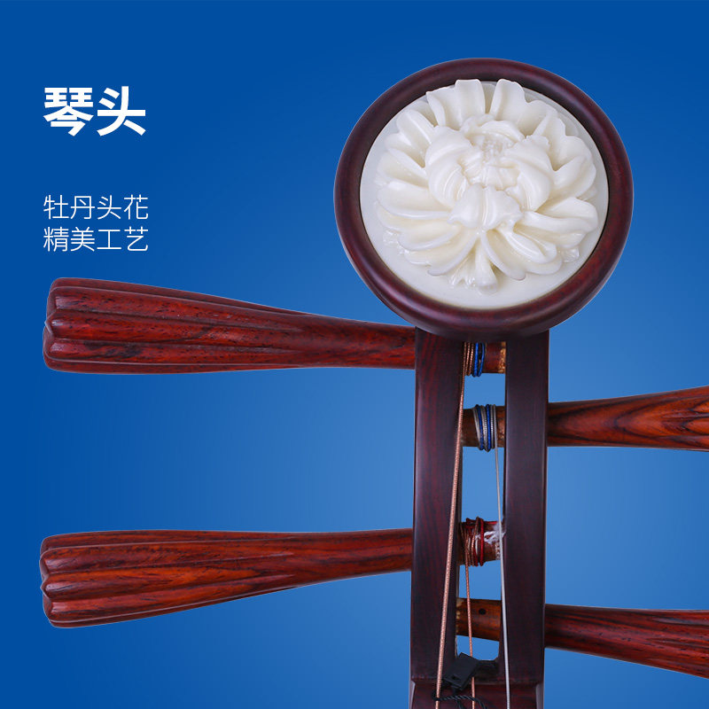 Instrumento Yueqin, Madera de  - Musical Instrument Music reseña y precio